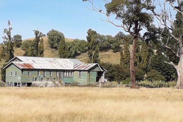 New Zealand Land Girls Research